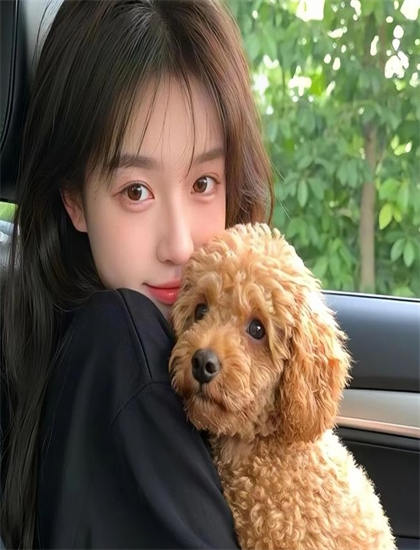 全新视角看圣诞美如画的哲学思考与人生智慧——东方与西方的碰撞